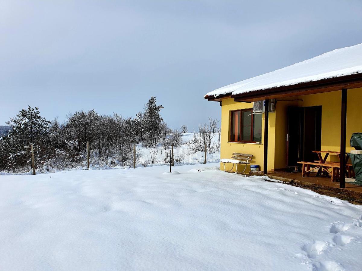 Malavi Guest House Krasen! Comfort&Clean! Exterior foto